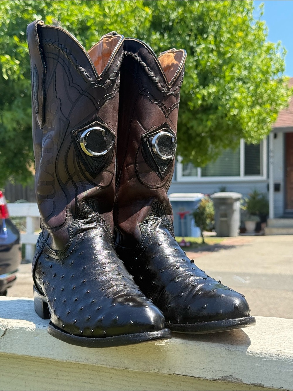 Men's Black Ostrich-Style cuadra boots